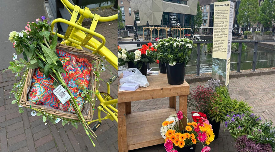 bloemen