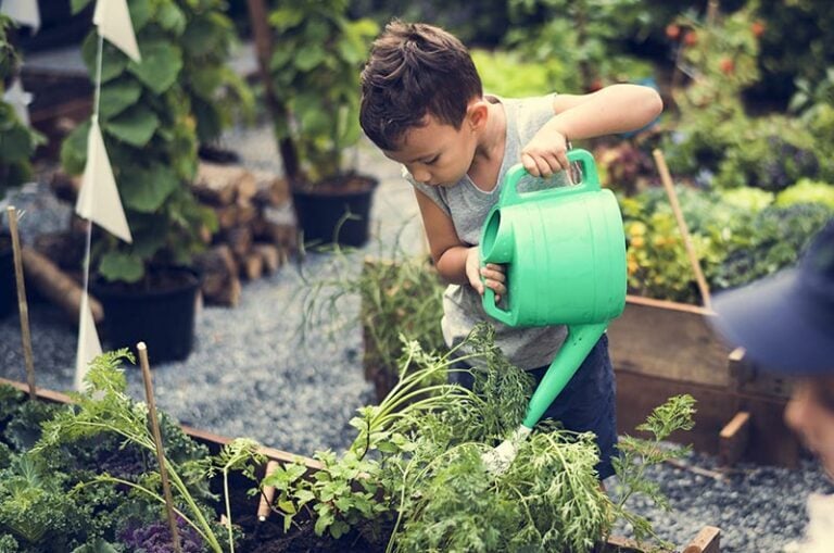 community-gardening-768x509